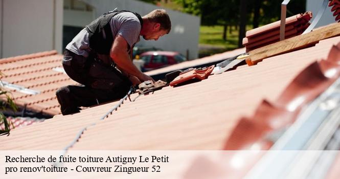 Recherche de fuite toiture  autigny-le-petit-52300 pro renov'toiture - Couvreur Zingueur 52