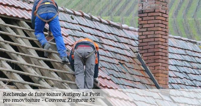 Recherche de fuite toiture  autigny-le-petit-52300 pro renov'toiture - Couvreur Zingueur 52