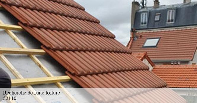 Recherche de fuite toiture  charmes-en-l-angle-52110 pro renov'toiture - Couvreur Zingueur 52