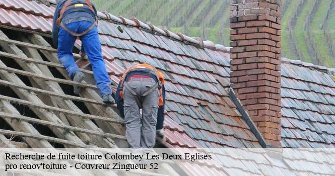 Recherche de fuite toiture  colombey-les-deux-eglises-52330 pro renov'toiture - Couvreur Zingueur 52